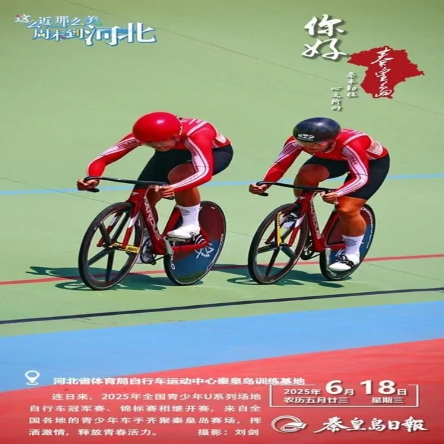 乒乓球冠军竞争格局的最新数据分析解读